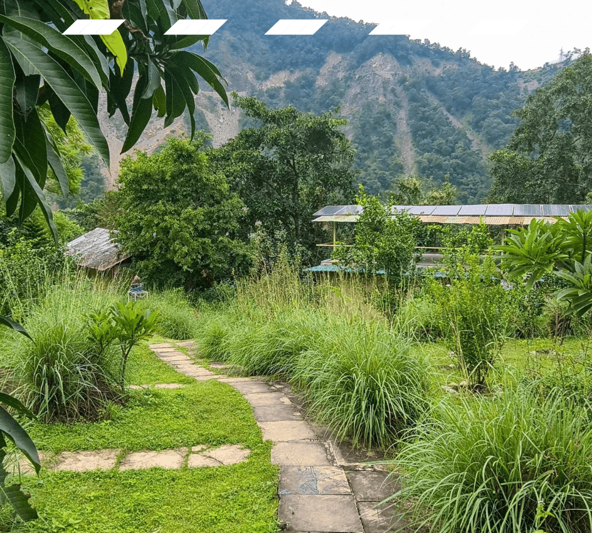 Glimpse of Bhutan